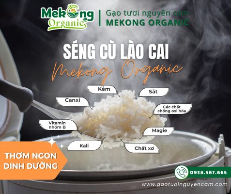 mekong organic