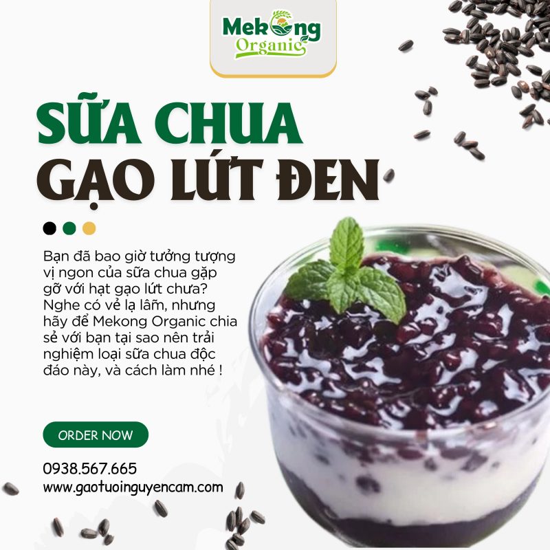 sửa chua gạo lứt